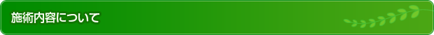 施術内容について
