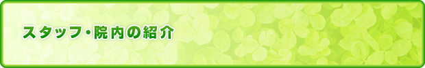 スタッフ紹介