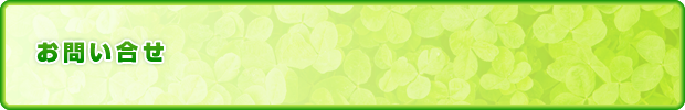お問い合せ