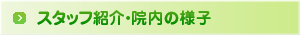 スタッフ紹介